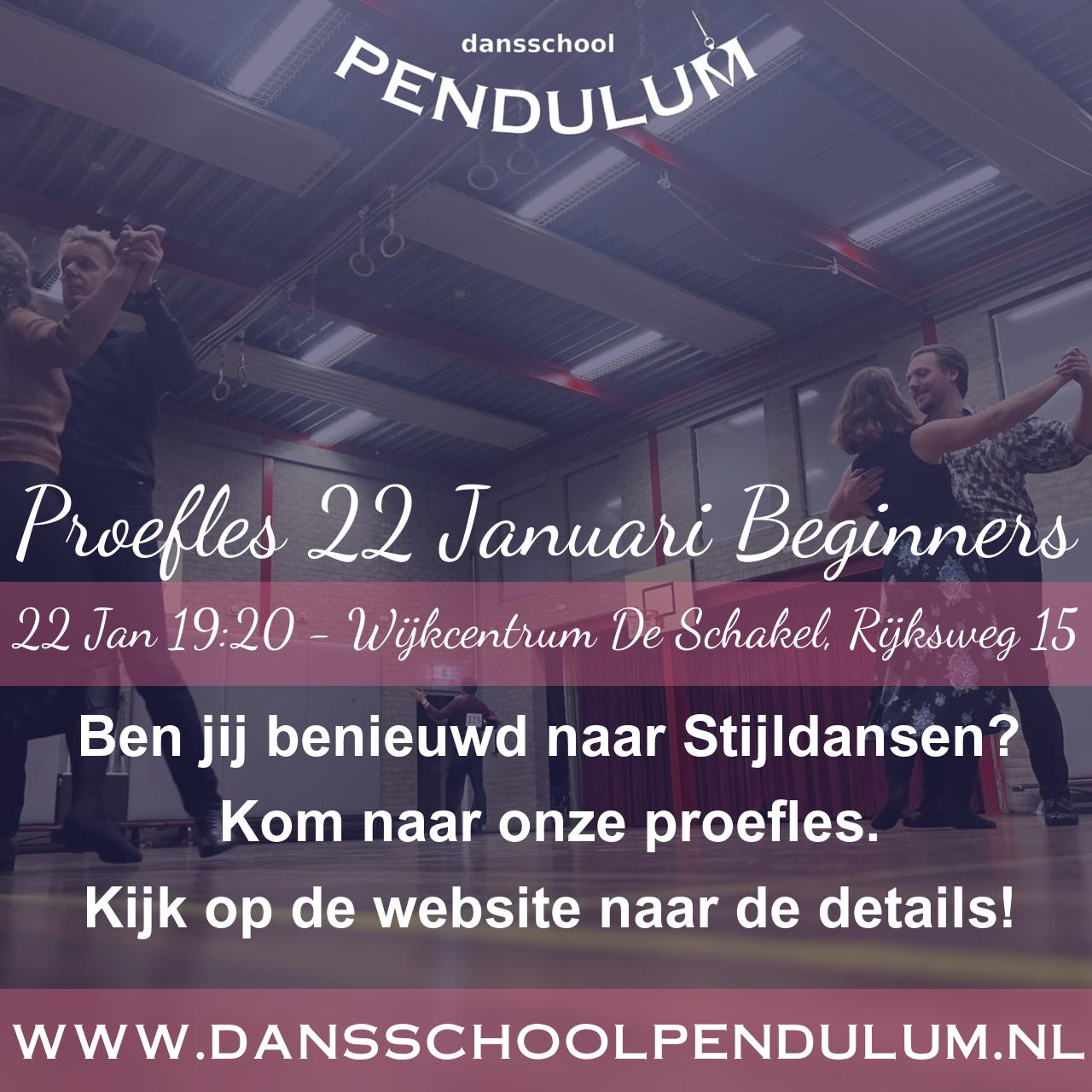 Pendulum poster - Proefles 22 Januari Beginners  22 jan. 2025 19:20 - 20:30